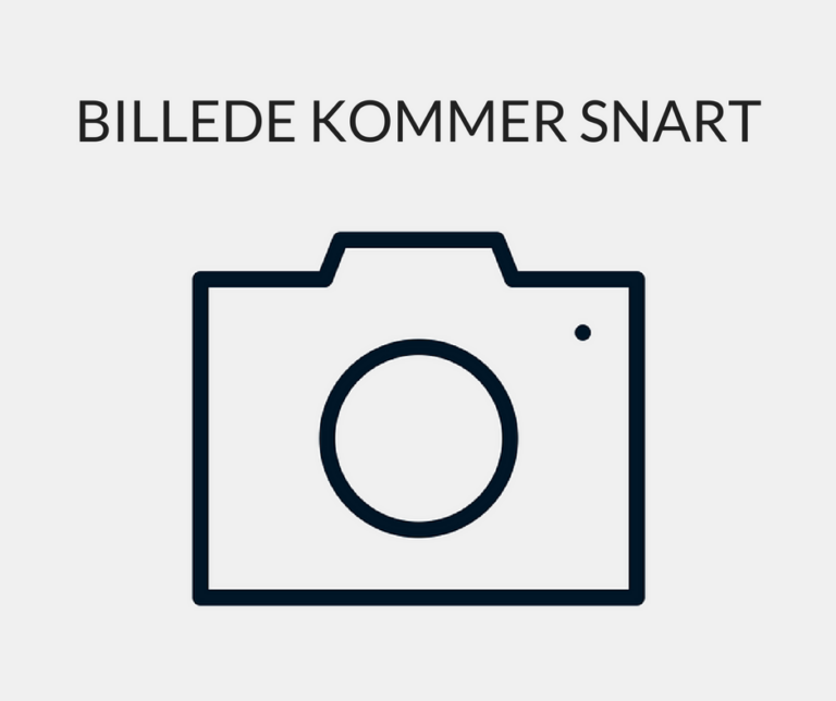 BILLEDE KOMMER SNART
