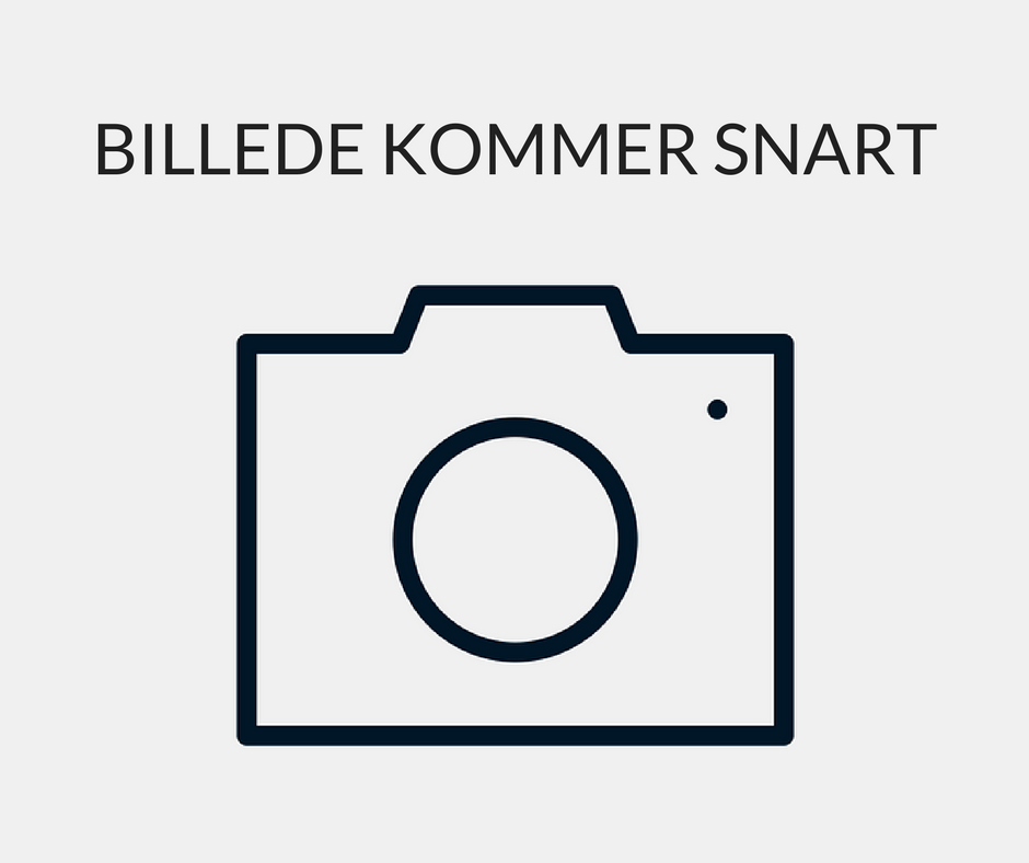 BILLEDE KOMMER SNART